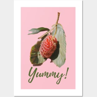 Raspberry Posters and Art